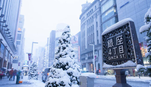 関東山沿い中心に大雪 東京23区など積雪おそれ 交通影響注意を